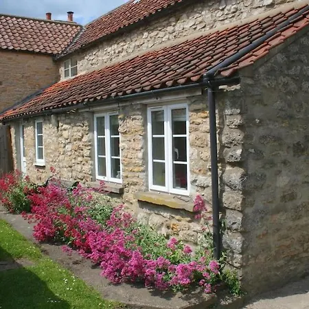 Pretty Yorkshire Stone